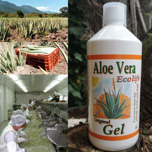 aloe vera gel ecolife