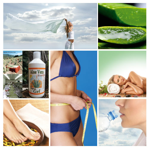 afvallen afslanken met ecolife aloe veras